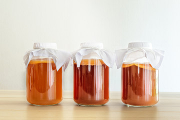 Fototapeta na wymiar homemade fermented drink Kombucha SCOBY 