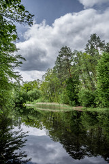 Fototapeta na wymiar Pond in the forest on the Vydritsa stream near Kiev