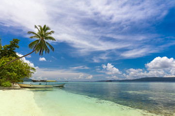 Naklejka na ściany i meble Island coast, tropical beach with coconut palm, white sand and turquoise water