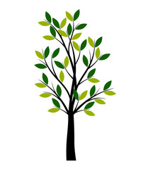 Set of Trees. Vector Illustration. Collection of icons.