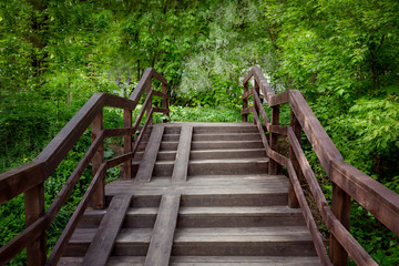 Obraz premium Beautiful wooden staircase that goes into the distance in the forest Park