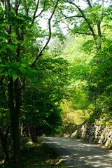 자연 휴림의 쉼터