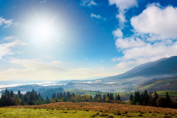 forest in red foliage on sunny autumn day. trees with branches with red foliage in forest. hillside in mountains with high peak in the distance on sunny autumn day with clear blue sky