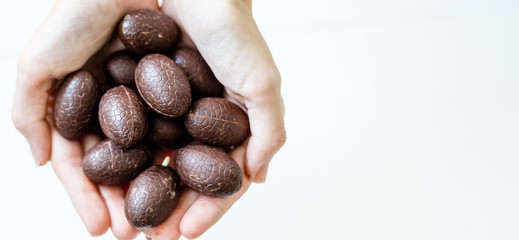The girl generously treats friends with chocolates on a white background with a place for recording.