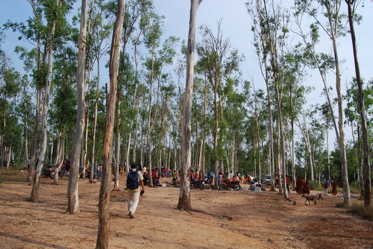 Tribal market in Santiniketan, West Bengal
