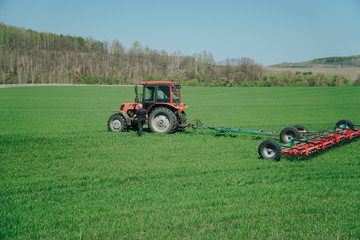 The tractor is working on a green spring field. Agriculture with cereal crops