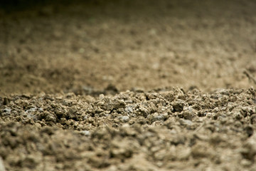 Fertile soil with selective focus