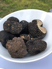 black caviar on a plate