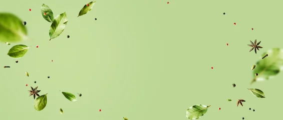 Schilderijen op glas Creative mockup with flying various types of spices Bay leaf, red chili pepper, anise on green background with copy space. Long food banner with copy space. © PINKASEVICH