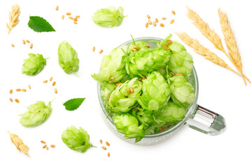 Glass with hop cones isolated on white background. Beer brewery concept. Beer background. top view
