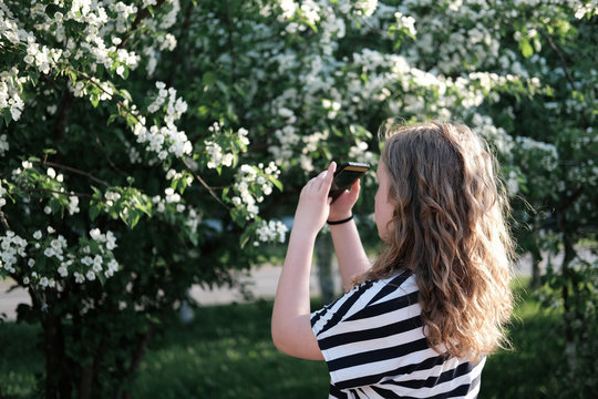 beautiful curly girl taking picture of blooming tree on a smartphone. teenager girl before a bush with white flowers. walking outdoors after quarantine. calm and peaceful place. 