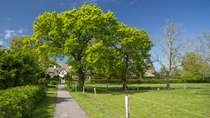 Ortsbild Oevenum auf Föhr Frühling HD Format