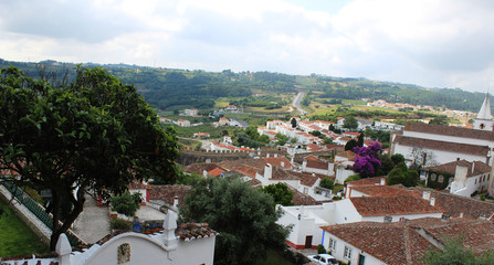 Fototapeta na wymiar Paisaje del pueblo de Óbidos en Portugal 