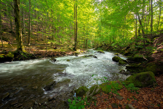 stream in the forest. beautiful nature background. peaceful scenery with water flow among rocks and beech trees in spring