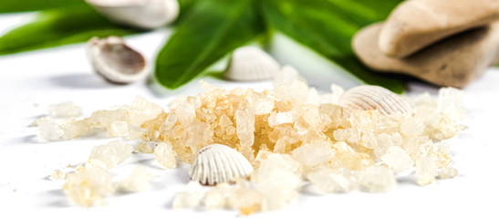Spa concept of cosmetic procedures and treatments. Sea salt and sea shells on green leaves on a white background.