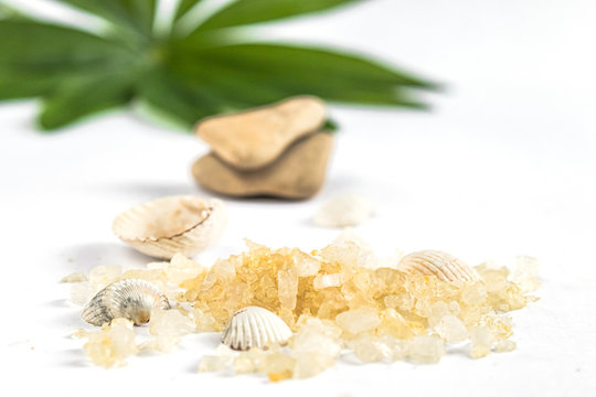 Spa concept of cosmetic procedures and treatments. Sea salt and sea shells on green leaves on a white background.