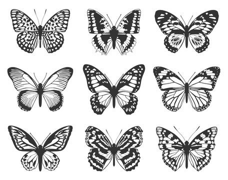Silhouette of black butterflies. Collection of butterflies.
