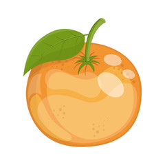 Cartoon ripe orange citrus fruit, vector illustration