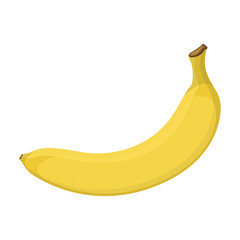 Single ripe banana, vector illustration
