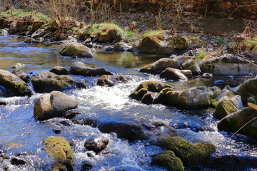 Naklejka na ściany i meble Cascades on a clear creek in a forrest