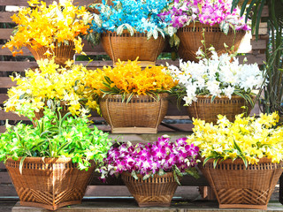 Fototapeta na wymiar Colorful orchid flower bouquet in bamboo baskets