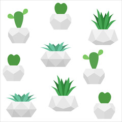 Succulents seamless pattern. Vector white background with home plants in geometric concrete pots. For wallpaper design