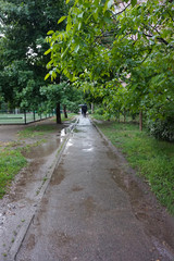 Wet path in the park along which pedestrians walk	