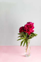 Vertical shot of red peonies with green leaves in a glass vase. Spring, copy space, space for text.