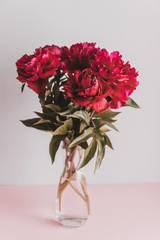 Vertical shot of red peonies with green leaves in a glass vase. Spring
