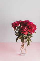 Vertical shot of fresh beautiful red peony flowers in a vase on a beautiful surface