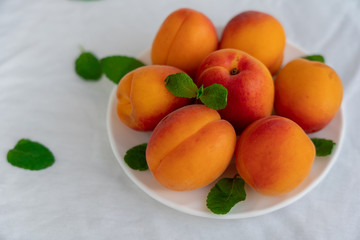 Ripe apricots and mint leaves are laying on white plate on textile surface