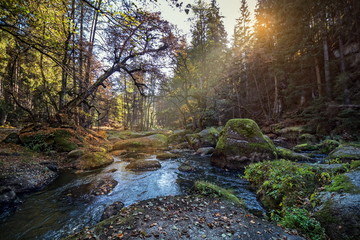 Obraz premium natural stream in the sunlight