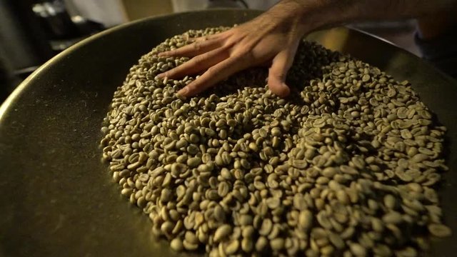Placing raw coffee beans in the receptacle - Slow Motion