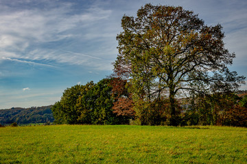 Fototapeta premium An autumn landscape