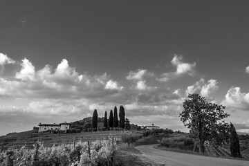 Spring stormy sunset in the vineyards of Collio Friulano, Friuli-Venezia Giulia, Italy