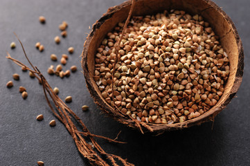 green buckwheat in a coconut dish on a gray background