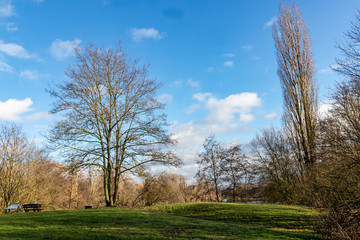 Obraz premium a peaceful resting spot on the hill