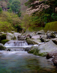 Sukumo River in Hakone Japan