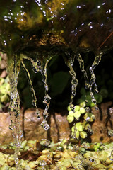 Water drops