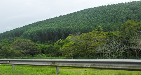 landscape in the mountains
