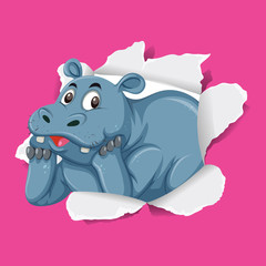 Background template design with wild hippo on pink paper
