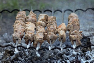 Shashlik, Kebab, Grilled Meat, BBQ