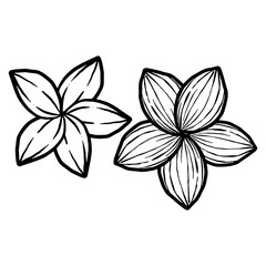 Doodle black line two flowers. Hand drawn cartoon style. Vector illustration about beautiful nature.