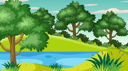 Obraz na płótnie Canvas Background scene with many trees in the park