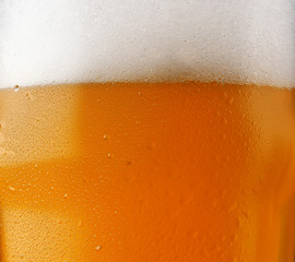 Background unfiltered beer with foam in a glass with water drops and beautifully rising bubbles