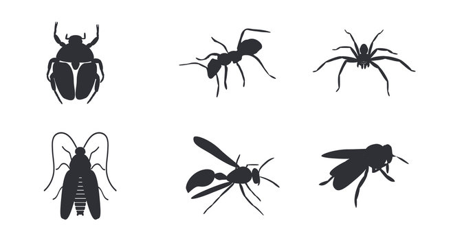 Insects icons. Black color. Vector. Flat design. White background. Isolated. Wasp, spider, bee, beetle, ant and cockroach icons. Vector stock illustration.