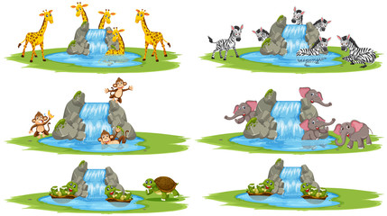 Fototapeta premium Group of wild animals and small waterfall cartoon character on white background