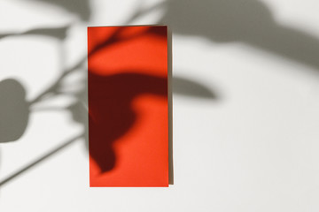 Foliage shadow on paper background with business card