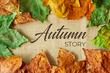 Autumn leaves over linen texture background Autumn story concept.