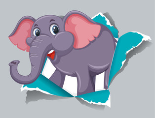 Obraz premium Background template design with wild elephant on gray paper